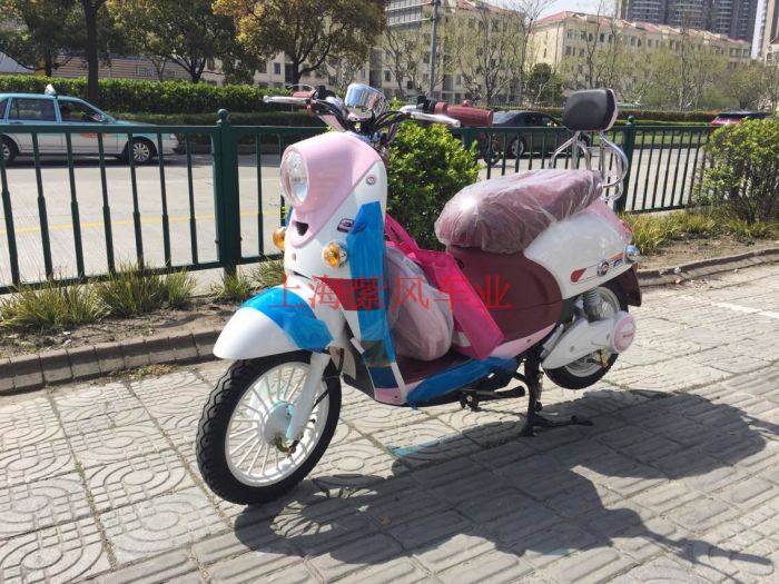 爱玛电动车 爱玛电动车正品tdr372z-1 锐欧标准小龟王