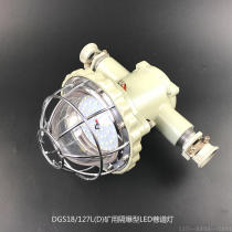 Cast aluminum DGS20 127L (A) type mining flame-proof LED alley lamp quality energy saving laneway lamp safety