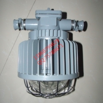 DGS50 127L (A) 50W laneway lamp mine Explosion type LED laneway lamp explosion protection special lighting lamp