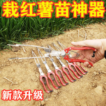 Planting sweet potato seedling artifact Transplanting seedling seedling seedling sweet potato seedling Sweet potato seedling clip Agricultural manual seedling plugging seedling device