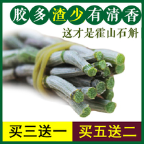 The source of dendrobium fresh imitation wild authentic Huoshan dendrobium fresh strips can be made dendrobium maple bucket send dendrobium flowers