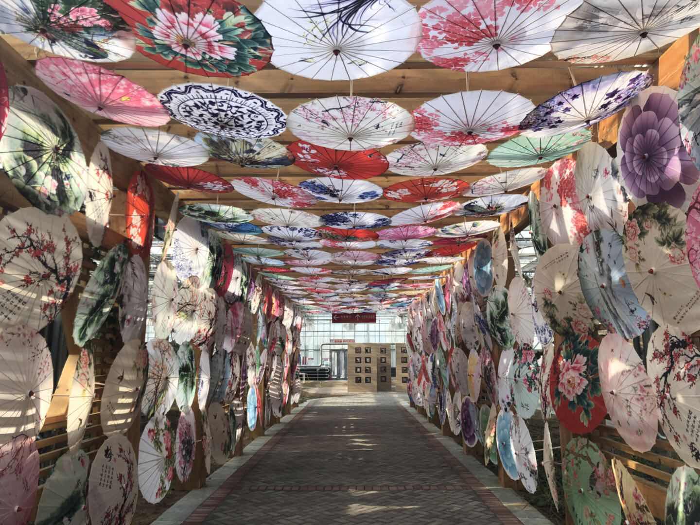 古典婚庆舞蹈舞台道具伞古风汉服伞吊顶装饰伞旗袍走秀油纸伞包邮