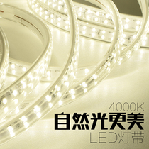 Neutral light belt 4000K natural lightled 220V commercial household bedroom warm light hiding high-light soft light strips