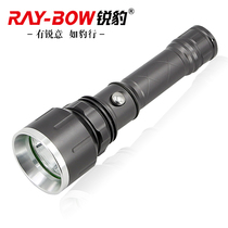 Ruibao LED bright flashlight RB-392 super bright long-range rechargeable outdoor household waterproof night riding white light patrol