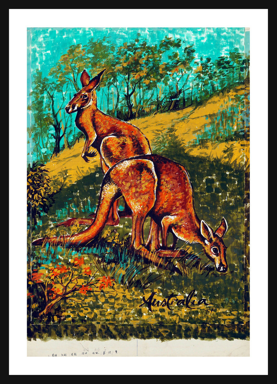 袋澳大利亚印象-袋鼠