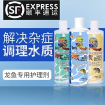 qian hu ocean free 0 arrow worms arowana 1 hao 3 4 hao blind 5 hao vertical scale 7 Blackwater in the little segments of the number 8 vitamin 9