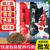 Jinshangjin koi feed color color Poplar increase body fattening all-round small particles large particles fish grain does not muddy water fish food