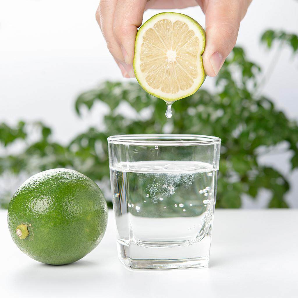 老板来一框海南岛的夏天—海南青柠檬