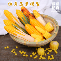 Simulation corn model Baked corn with skin Corn segment Grain whole grain food Food window props Childrens early education