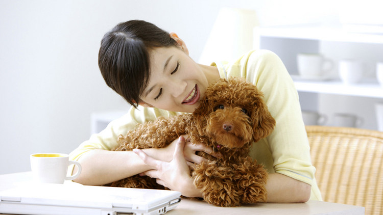 养宠物的家庭,做好这几点很重要-3颗痣