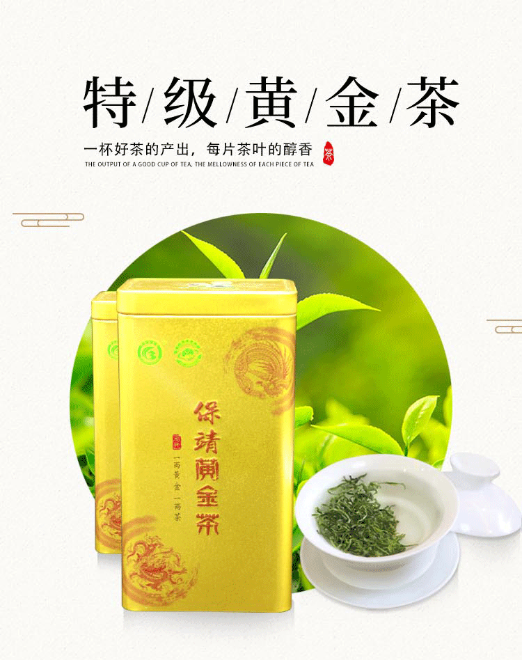 湘西茶叶保靖黄金茶2020新茶上市特级头采绿茶散装125gx2罐250g包