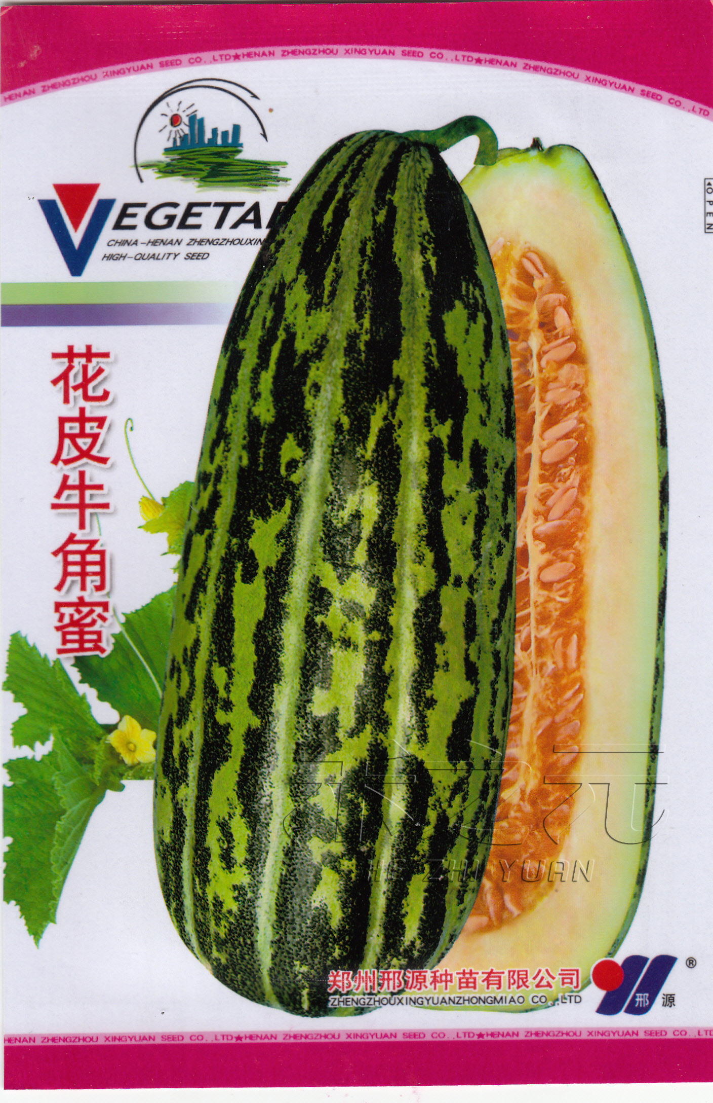甜掉牙甜瓜种子黄皮黑皮面瓜脆瓜八里香黄金蜜牛角蜜白莎蜜香瓜