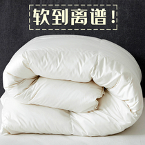 Super soft autumn and winter thickened warm quilt core winter quilt spring and autumn air conditioning quilt cotton nine-hole quilt