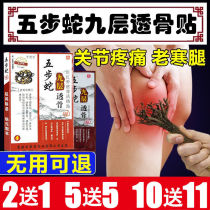 Five-step snake nine-layer through bone paste cervical spondylosis joint frozen shoulder lumbar disc lumbar muscle strain Hong Kong Baicaotang plaster