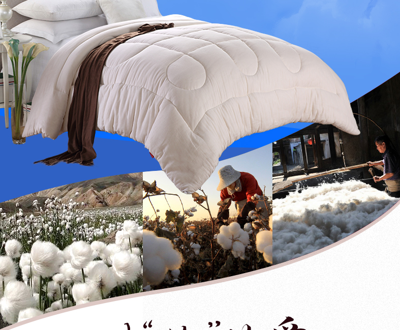 棉花被冬被棉絮1.2米年龄被子被芯1.8棉被丝棉