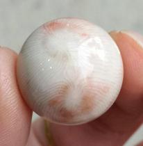 Ning Qiang White Coral Jade Fossil 4-shot monomer Handstring Buddha Pearl Pendant 2 0 Days Eye to Play 1 7 Accessories W