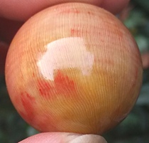 Ning Qiang Coral Jade Fossil 4-shot monomer 2 3 Play Gameplay String of Buddha Pearl Pendant Necklace pendant necklace car hung 11W