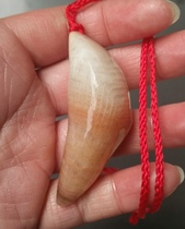 Ning Qiang Coral Jade Goat Horn Monomer Horn With Shape Polished Can Engraved Pendant Car Hang to Play Pieces Fossilized