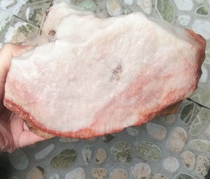 Ning Qiang Coral Jade Snowwhite Fossil Honeycomb Textured Jade High White Floating Red Engraving Stock Raw Stone Collection Grade Boutique W