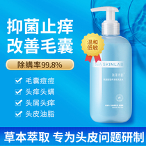 Scalp amino acid shampoo Scalp Care Desquamation Anti-Acne Official Shampoo for Anti-Acne Official Shampoo