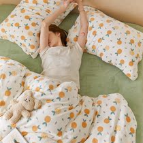 ins wind small fresh milk suede four pieces of winter warm bed linen flannel velvet cover bed bedding