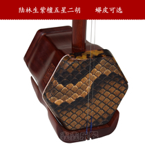 Lu Lin Sheng Wu Xing Zi Hon Erhu Lin Sheng Erhu Jun handmade python skin professional performance Suzhou Erhu