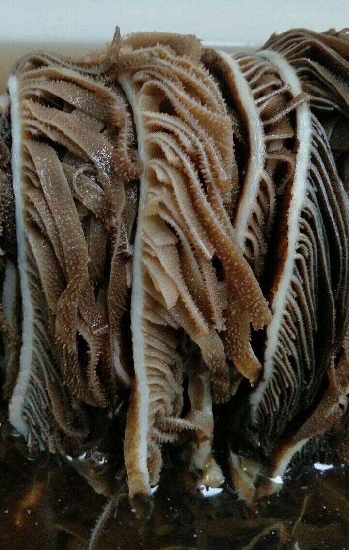成都重庆冻品水发毛肚黑千层肚丝丝毛肚 牛百叶 黑色毛肚丝10斤