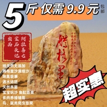 Arashan Tengri Desert Fine Sand Cat Rat Reptile Mat Nest Fish Tank Building Sand and Multi-meat Plants Paved Sand