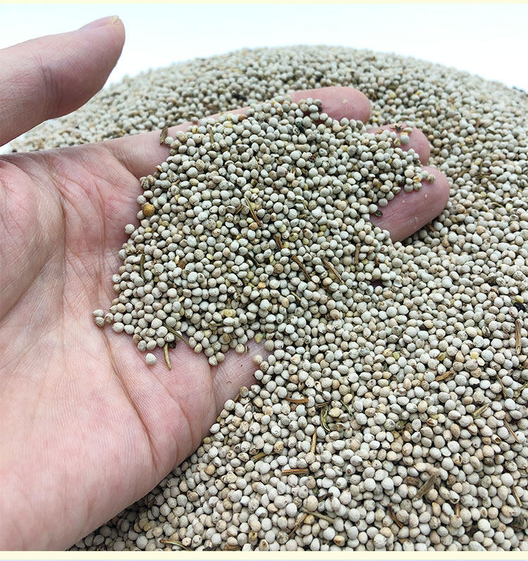 苏子白苏子软苏子鸟食鸟粮鹦鹉金丝雀芙蓉鸟黄雀500克五斤包邮1