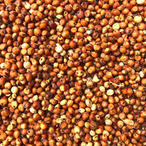 Red sorghum with skin Sorghum rice Parrot bird food bird granary Rat pigeon feed pigeon food Meat pigeon carrier pigeon Turtledove 500g