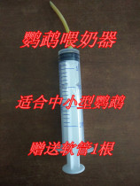 Hand-raised parrot young bird feeder BB baby chick fed with breast feeding powder feeder to feed the miller syringe syringe