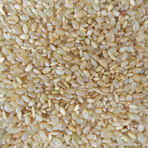 Brown Rice Pure Natural New Brown Rice Pigeon Feed Racing Pigeon Watching Pigeon Grain One 500g