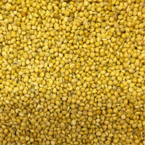 New parrot food Yellow millet Bird food Bird food Shelled millet Wen bird tiger skin Xuanfeng peony horizontal class One piece 500g