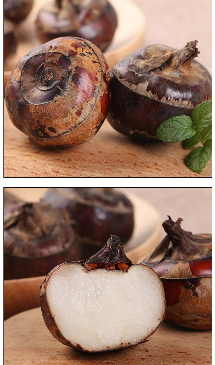 马蹄新鲜包邮5斤装大果荸荠当季水果现挖农家自种5斤低价包邮