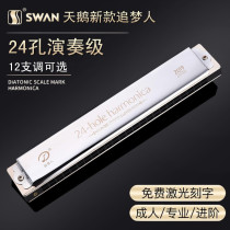 Swans new dreamers 2409 harmonies 24 holes comeback C tune B D E F G harmonica professional playing musical instrument
