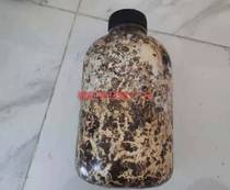 Cotton seed shell honey ring fungus planted with gastrodia strain 2 catty of a large bottle of at least 5 bottles shipped