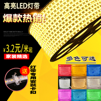 Red blue green purple LED light with super bright light with 5730 double row 2835 light bar ceiling living room colorful light belt waterproof