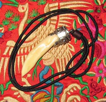 Pig tooth pendant to ward off evil spirits to protect the body and keep safe