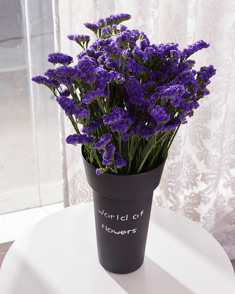 天然干花束勿忘我满天星大束装饰家居摆件云南干花真插花客厅摆设