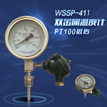 Upper instrument WSSP-411 remote bimetal thermometer pt100 thermal resistance output factory price