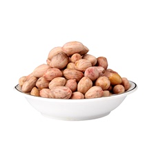 Zhu Fuji New spiced peanuts under the wine and vegetables with skin roasted and fried goods zero snacks nuts five catties of bulk