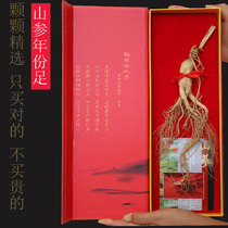 Northeast ginseng gift box authentic 20 grams Changbai mountain ginseng forest ginseng Jilin specialty mountain ginseng wine gift