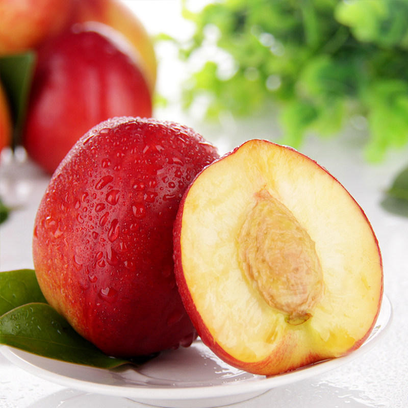 现货桃子水果现摘现发新鲜脆当季油桃水蜜桃毛桃5斤包邮