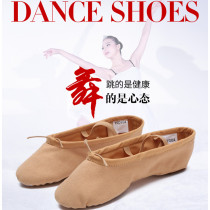 Dance shoes Womens soft bottom practice shoes Cat claw shoes men and women yoga ballet dance shoes dance shoes classical dance accessories