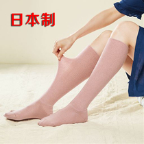 Made in Japan cecile calf socks half medium tube long socks spring and summer soft and comfortable without compression Solid color womens socks