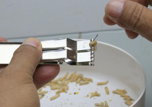 蚯蚓红虫活蛆虫挂钩夹不锈钢上饵器钓鱼小配件传统钓渔具垂钓用品