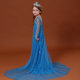 Frozen 2 Elsa Princess Dress Girls Birthday Dress Elsa Children's Summer Elsa Trailing Skirt