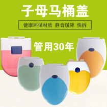 Female toilet cover universal thickening and slow down old toilet cover accessories environmental protection pp board quick removal V-type U-type O-type