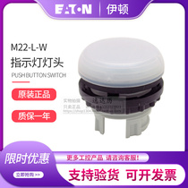 EATON Eton Mueller M22-L-W Flush Lights Head White German Original Imported Fresh Spot