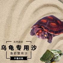 Turtle Winter Sleeping Sarcaschia Fish Hibernating Sand Stone Sand Down Egg Hatching Special Crab Pet Fish Tank Bottom Sand Natural River
